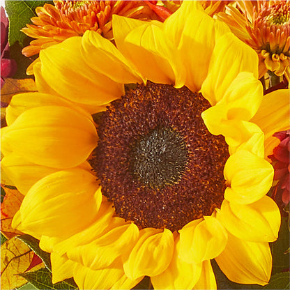 Sunny Side Bouquet –  Guilles Flowers Santa Clara, San Jose CA