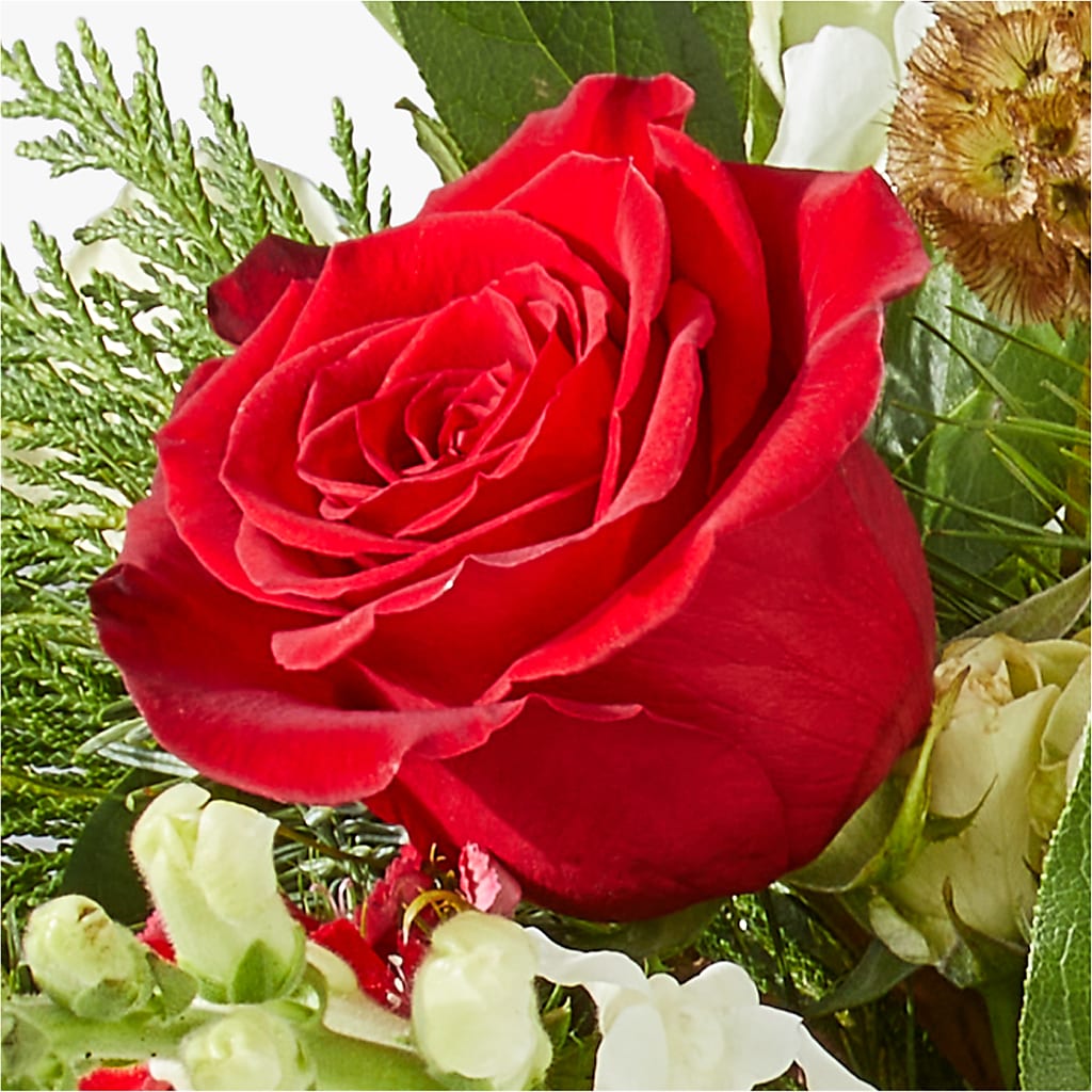 Deck the Halls Bouquet –  Guilles Flowers Santa Clara, San Jose CA