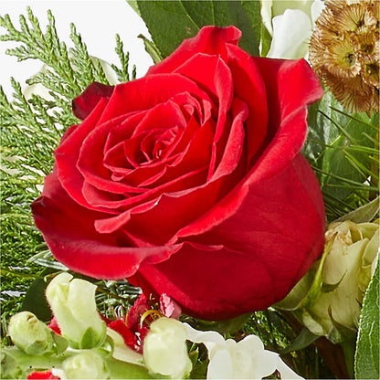 Deck the Halls Bouquet –  Guilles Flowers Santa Clara, San Jose CA