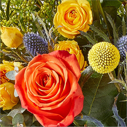 Disco Bouquet –  Guilles Flowers Santa Clara, San Jose CA