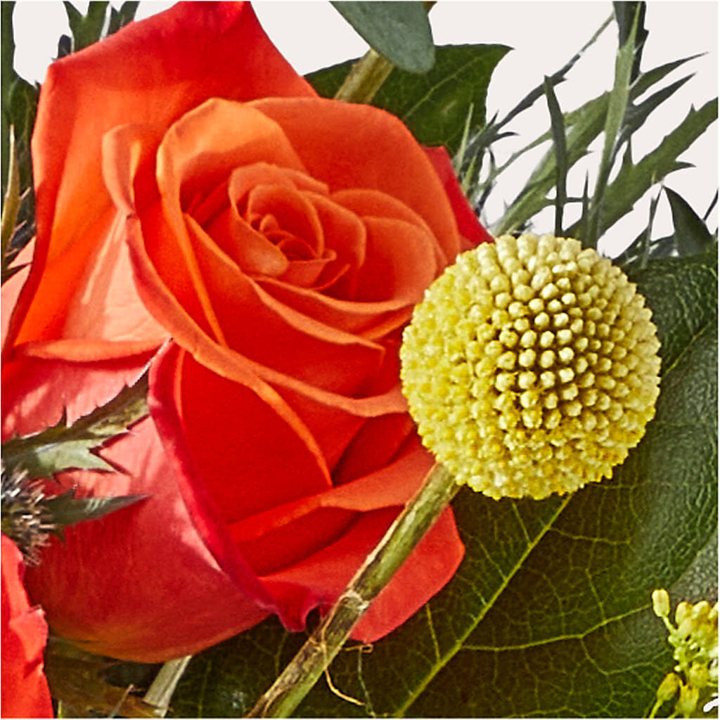 Disco Bouquet –  Guilles Flowers Santa Clara, San Jose CA
