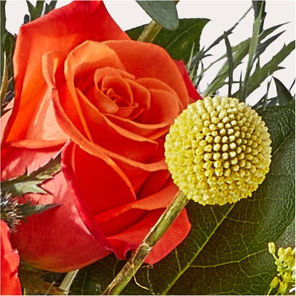 Disco Bouquet –  Guilles Flowers Santa Clara, San Jose CA