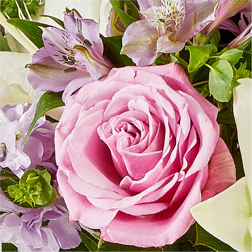 Daydreamer Bouquet –  Guilles Flowers Santa Clara, San Jose CA