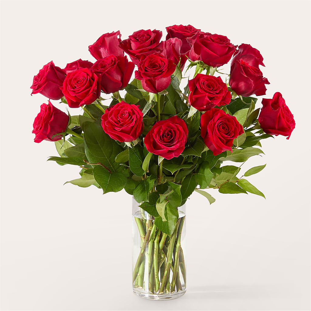 The One Red Rose Bouquet –  Guilles Flowers Santa Clara, San Jose CA
