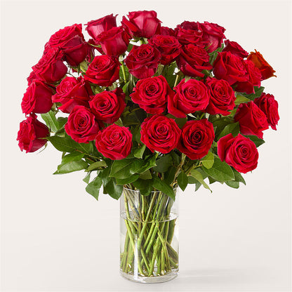The One Red Rose Bouquet –  Guilles Flowers Santa Clara, San Jose CA