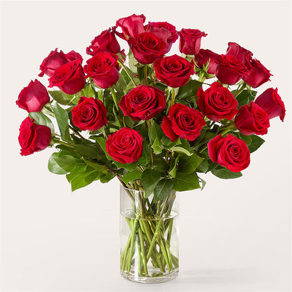 The One Red Rose Bouquet –  Guilles Flowers Santa Clara, San Jose CA