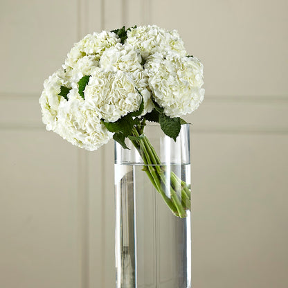 White Hydrangea Hand-Tied Bouquet –  Guilles Flowers Santa Clara, San Jose CA
